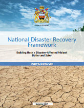 National disaster recovery framework: building back a disaster-affected Malawi better and safer